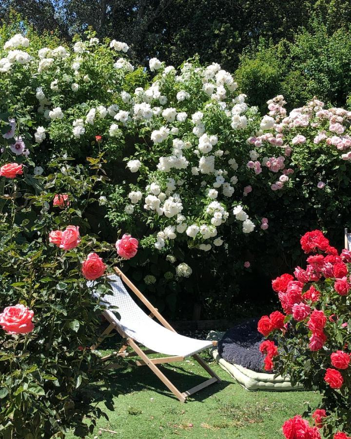 LʼIsle-sur-la-Sorgue Lulu En Provence B&B 외부 사진