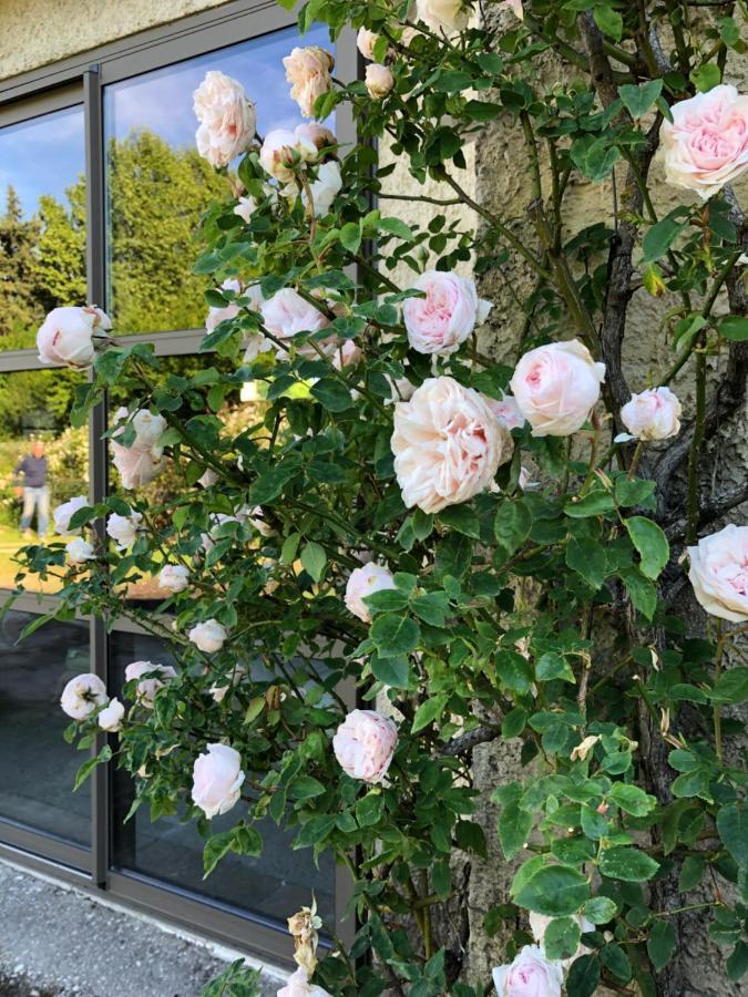 LʼIsle-sur-la-Sorgue Lulu En Provence B&B 외부 사진